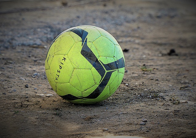 期待在未来 期待在未来