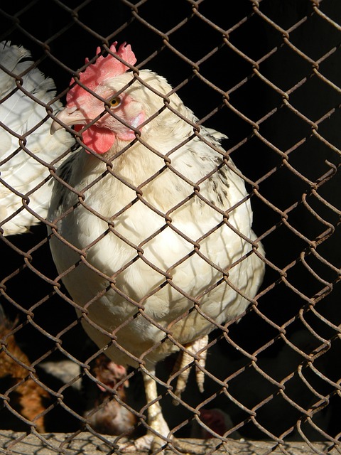 解決所有問 解決所有問