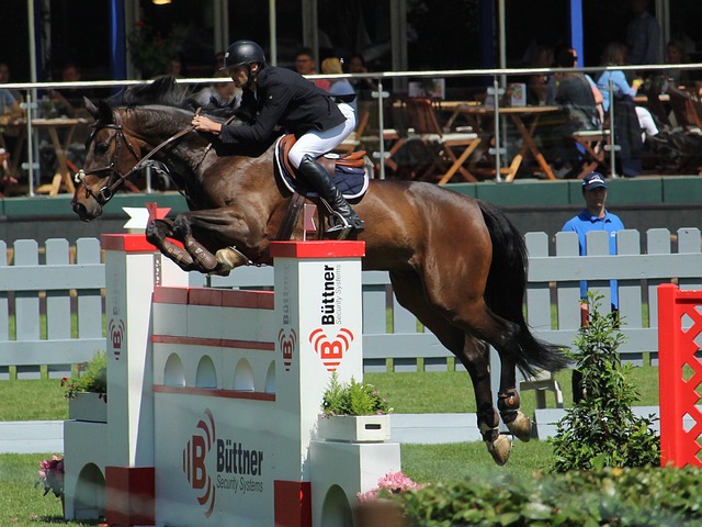 更进一步巩 更进一步巩