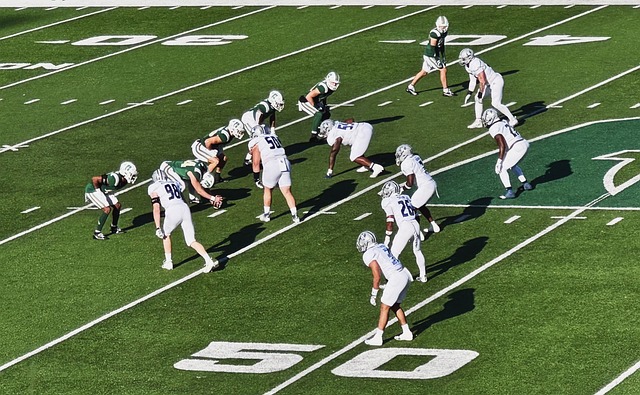 西班牙隊的 西班牙隊的