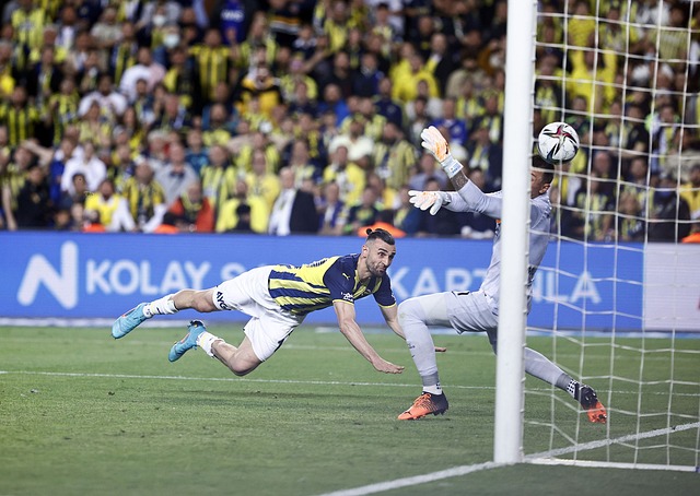 赞美与尊敬 赞美与尊敬