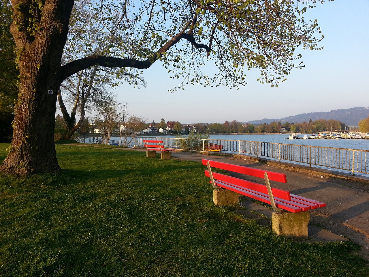 他果断减少 他果断减少